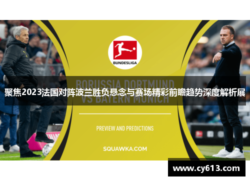 聚焦2023法国对阵波兰胜负悬念与赛场精彩前瞻趋势深度解析展
